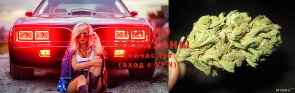 сатива Балахна